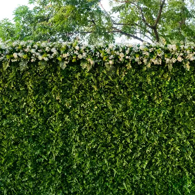 Artificial Ivy Solutions